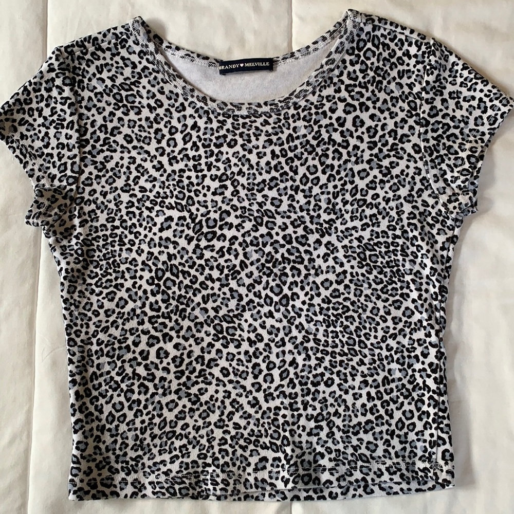 Brandy Melville leopard crop top